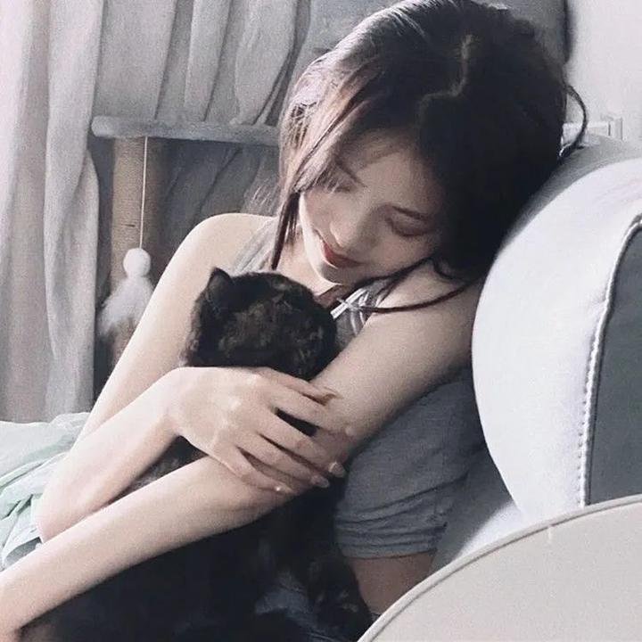 阿七遨游记